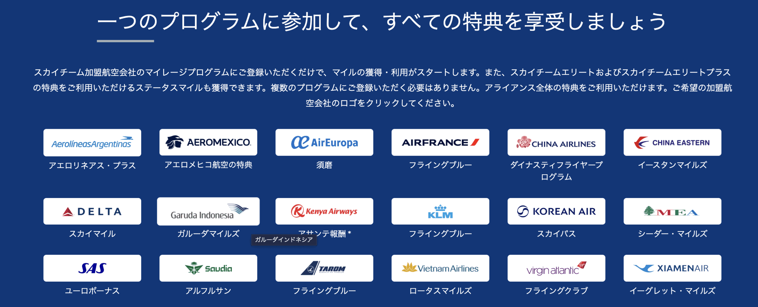 スカイチームに加盟している航空会社