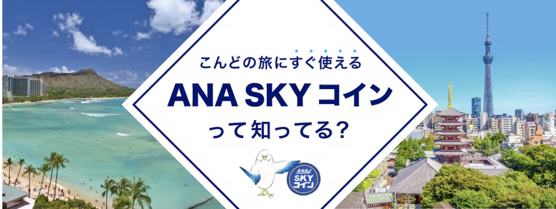 ANAスカイコインのアイキャッチ画像