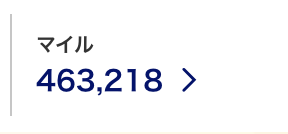 筆者が実際に貯めたANAマイル