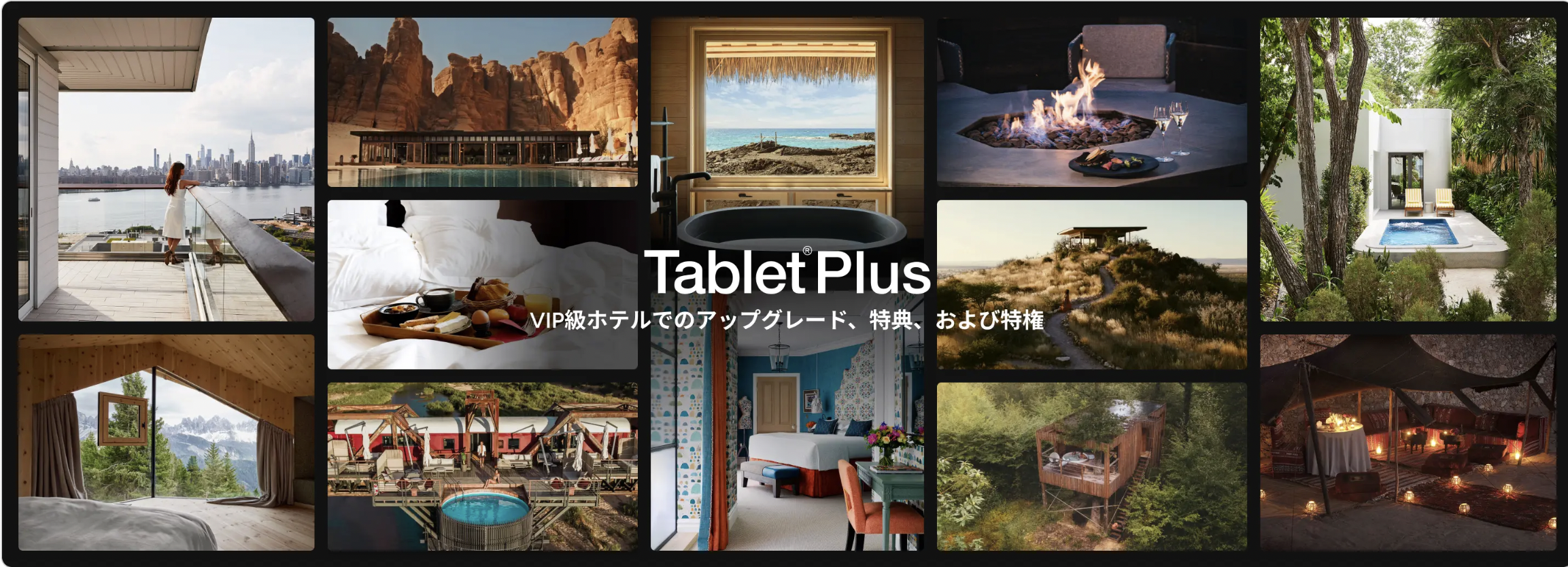 Tablet Plusのイメージ画像