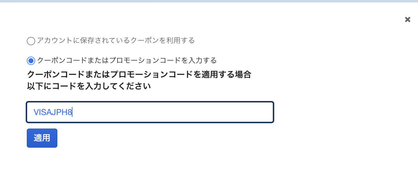 Visaクーポン入力画面